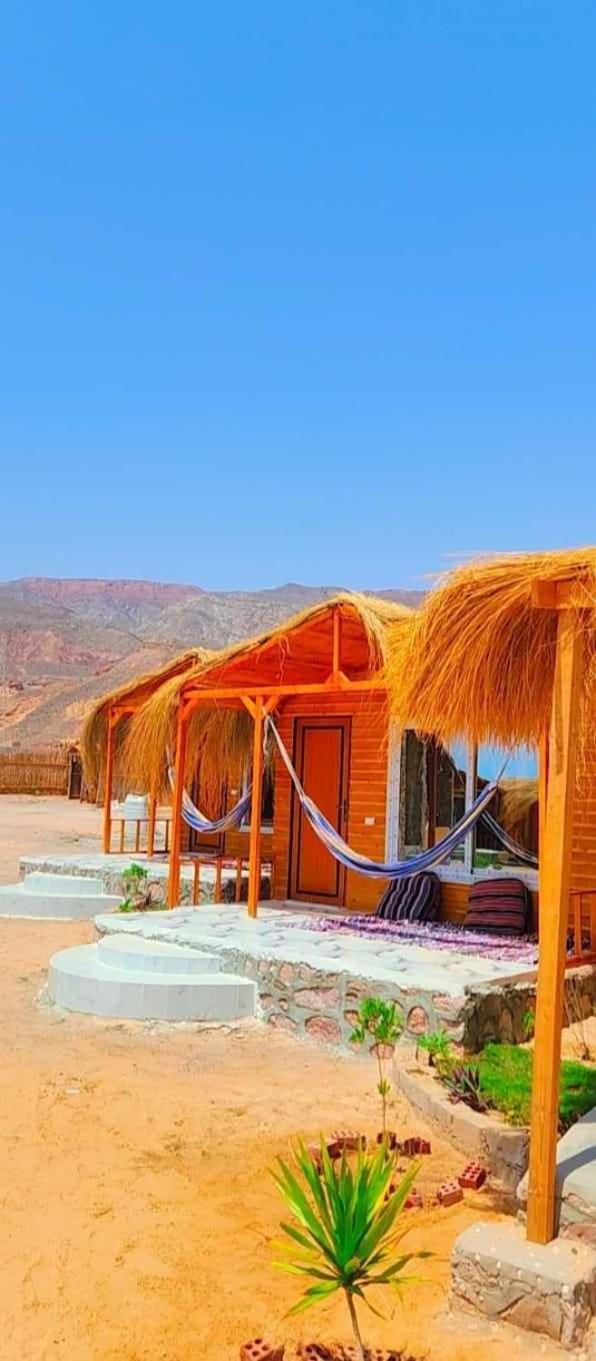 Отель Full Moon Camp Sinai Нувейба Экстерьер фото